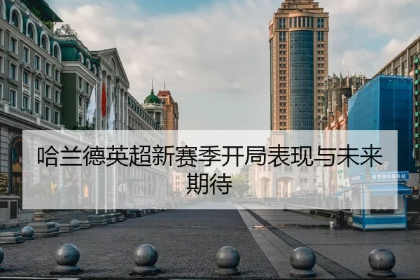 哈兰德英超新赛季开局表现与未来期待